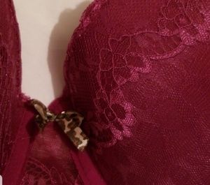 Body Frosting Intimates & Sleepwear - NWOT 40 C Maroon colored Body Frosting Bra Body Frosting Intimates & Sleepwear - NWOT 40 C Maroon colored Body Frosting Bra